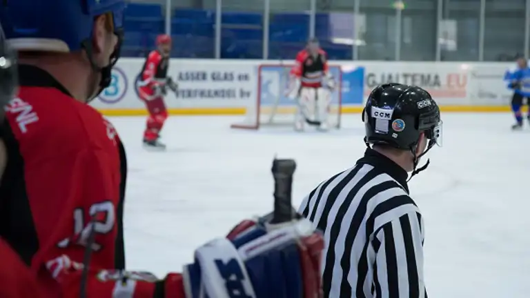 Referee 2